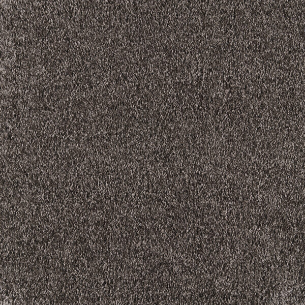 Havana mørk grå væg til væg tæpper