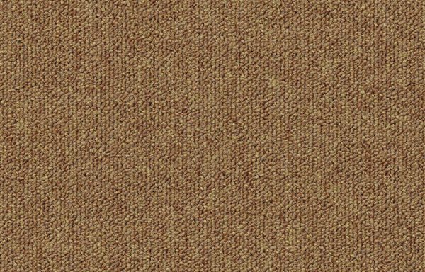 Alpha – beige