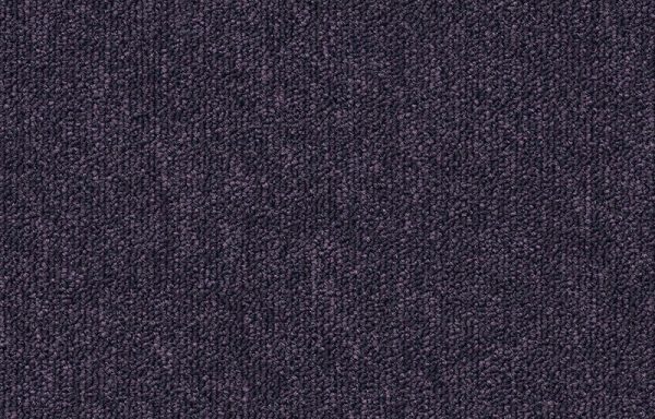 Alpha – marine